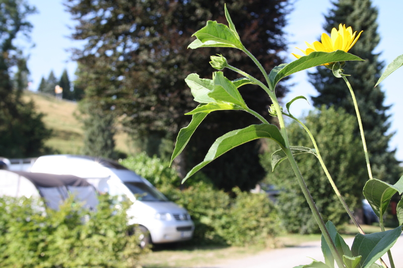 Campingplatz Alpenblick - Photo 2