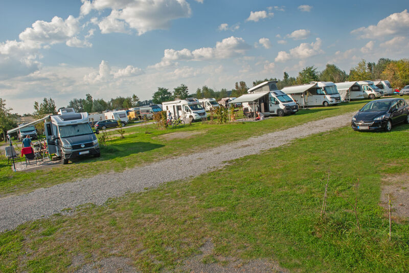 Stellplatz S (WoMo, WoWa)