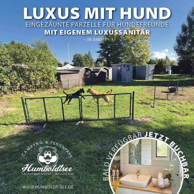 Premium espace pour chiens